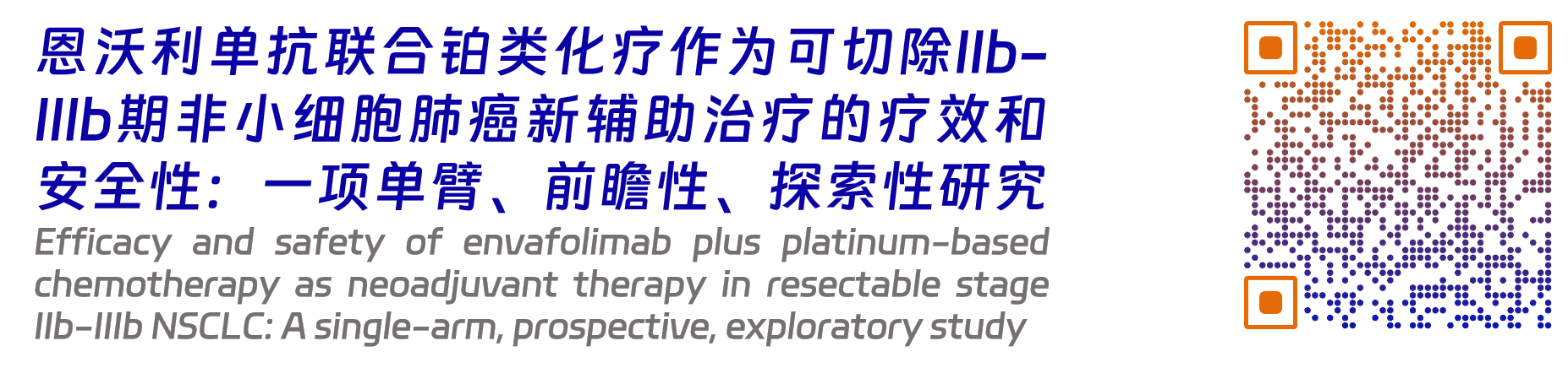 恩維達(dá)4.png