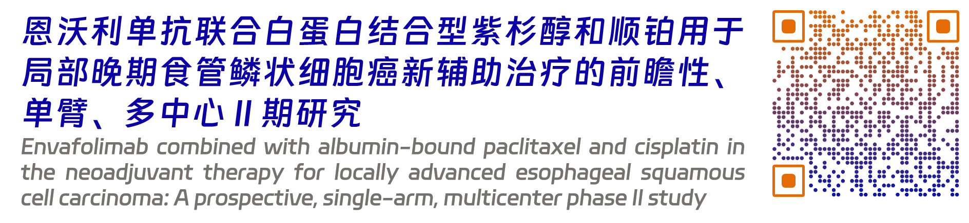恩維達(dá)8.png